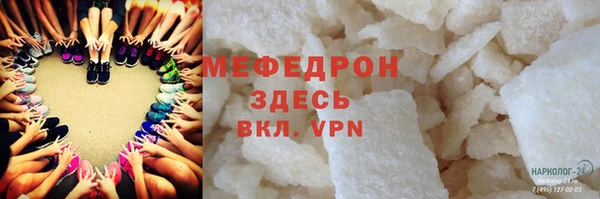 индика Заволжье