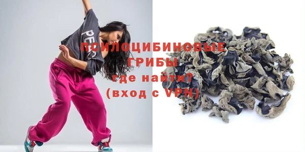 индика Заволжье