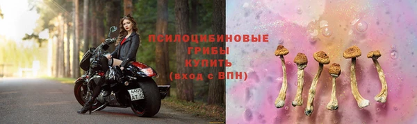 индика Заволжье