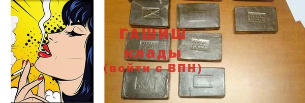 индика Заволжье