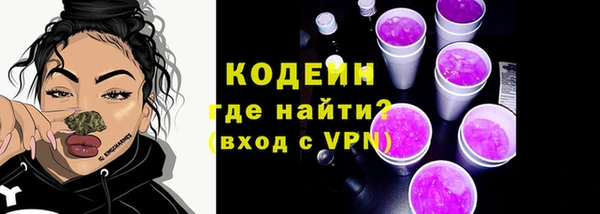 индика Заволжье