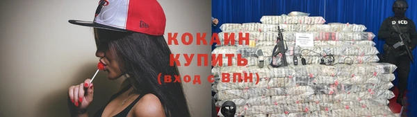 индика Заволжье