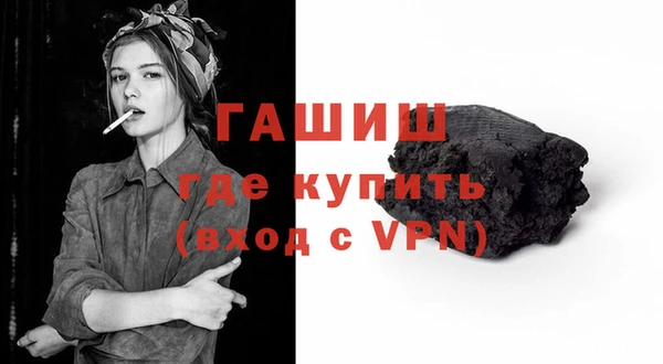 индика Заволжье