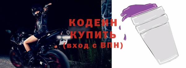 индика Заволжье