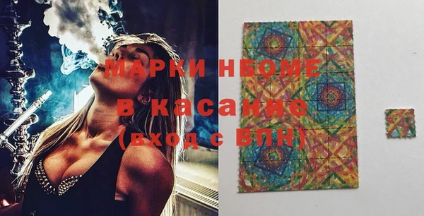 индика Заволжье