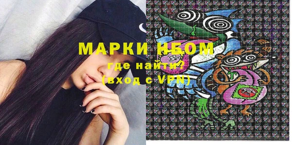 индика Заволжье