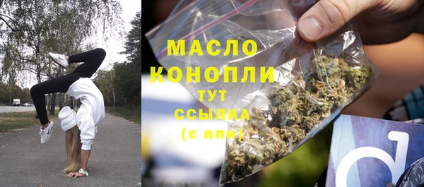 индика Заволжье