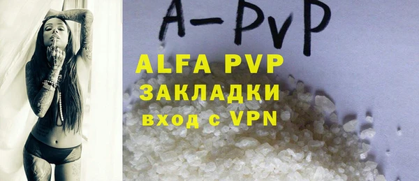 индика Заволжье