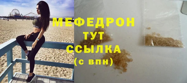 индика Заволжье