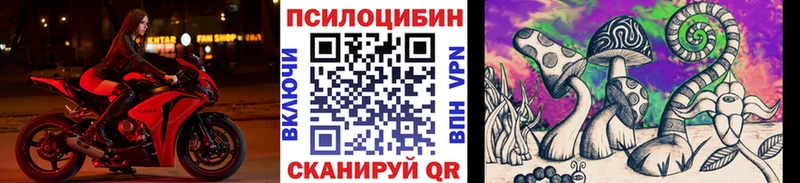 Псилоцибиновые грибы Cubensis  Купить  Боготол 